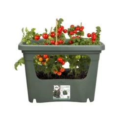 Elho Plantenbak Green Basics Stack & Grow Large Groen 6 Elho Plantenbak Green Basics Stack & Grow Large Groen -Gardena Verkoopwinkel elho plantenbak green basics stack grow large groen 800x800 620e3d4de4622 l