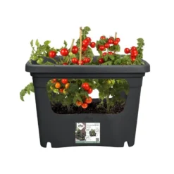 Elho Plantenbak Green Basics Stack & Grow Large Zwart -Gardena Verkoopwinkel elho plantenbak green basics stack grow large zwart 800x800 620e3d4eed857 l
