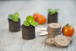 Nature Turftabletten 48st -Gardena Verkoopwinkel nature turftabletten 48st 800x532 6214a01453d91 l