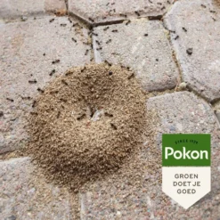 Pokon Tegen Mieren Korrels 400gr -Gardena Verkoopwinkel pokon tegen mieren korrels 400gr 1000x1000 6221fb52c5ede l