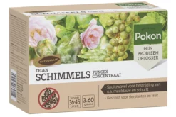 Pokon Tegen Schimmels Fungex Concentraat 180gr