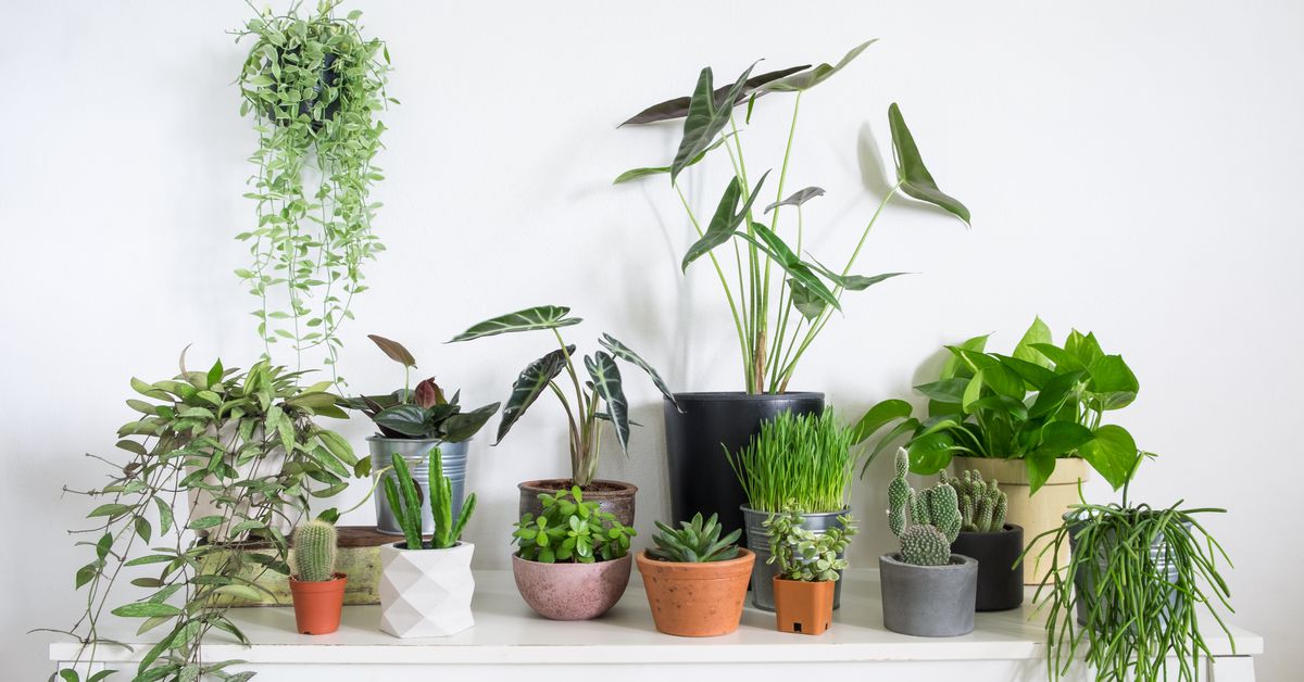 Gardena Verkoopwinkel -Gardena Verkoopwinkel shutterstock 1140250127